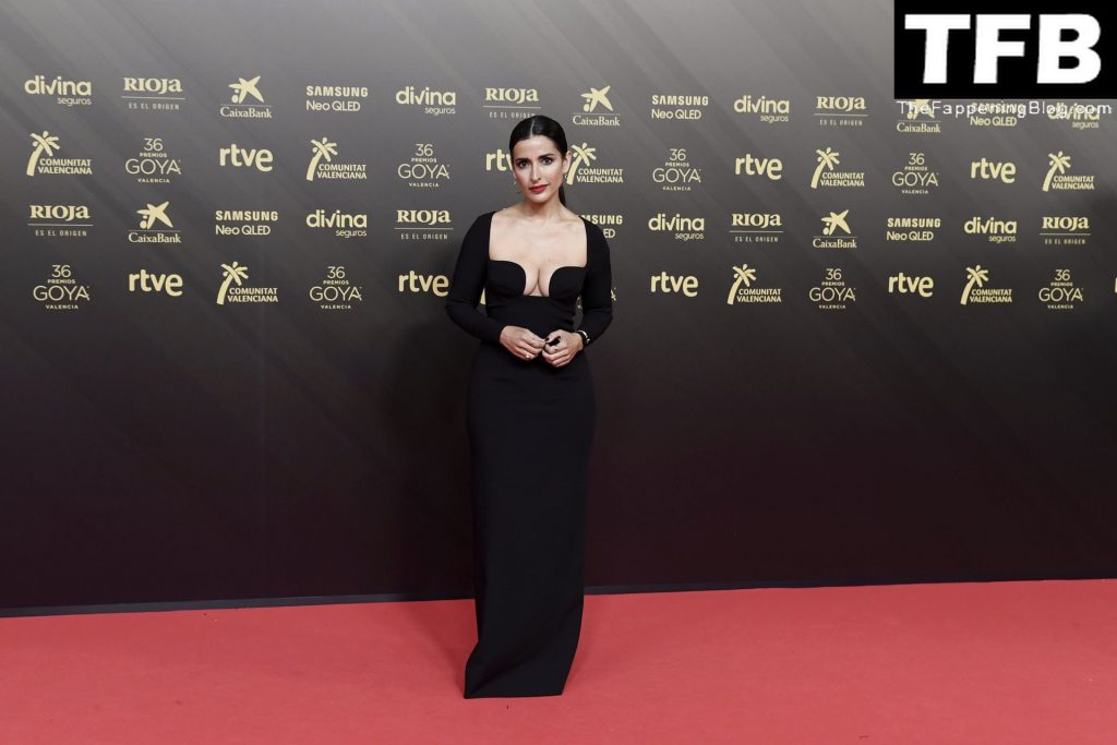 Inma Cuesta Shows Off Her Sexy Tits at the 36th Goya Awards (24 Photos)
