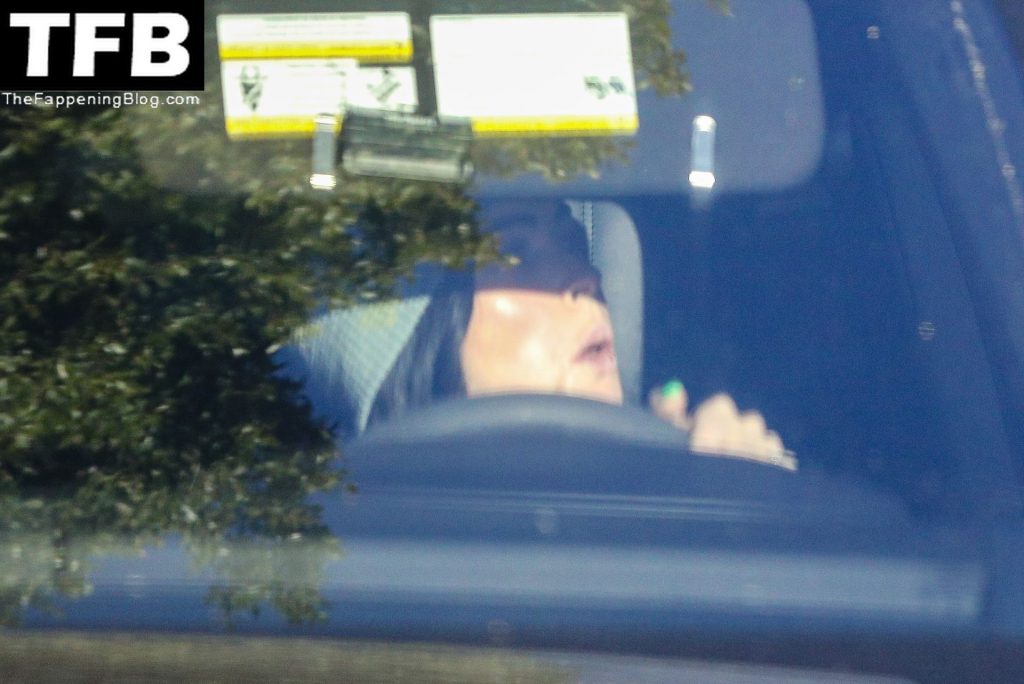 Megan Fox Looks to Have Gotten a Lip Injection at a Medical Spa in LA (100 Photos)