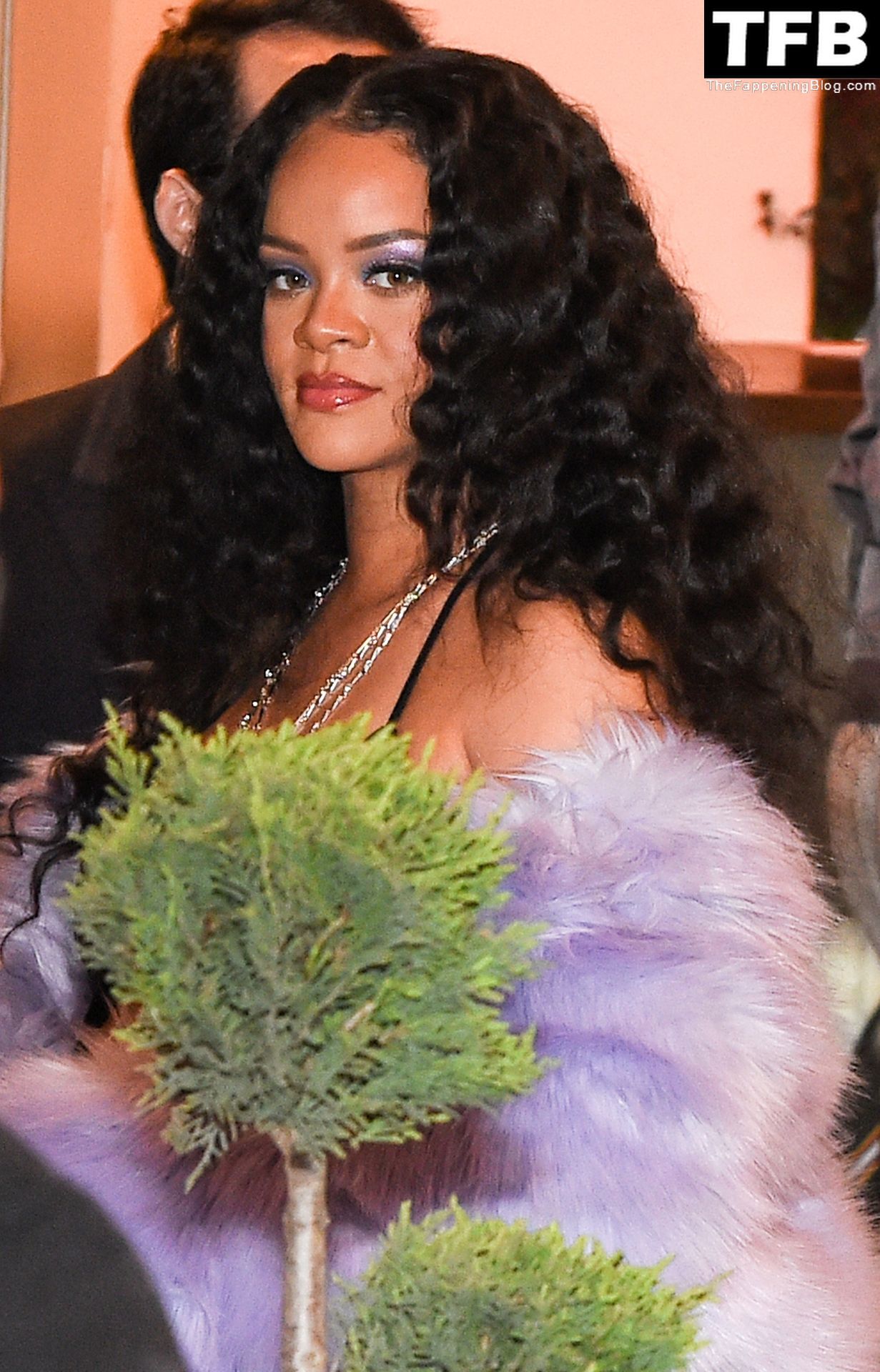 Rihanna-See-Through-Nude-The-Fappening-Blog-23.jpg