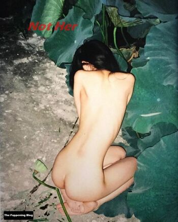 Tina Leung / tinaleung Nude Leaks Photo 19