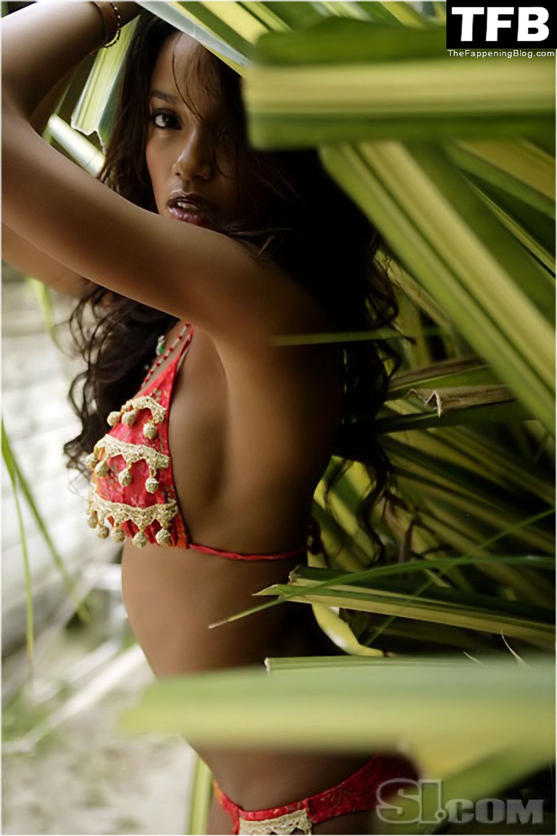 Selita Ebanks Nude & Sexy Collection (61 Photos) .