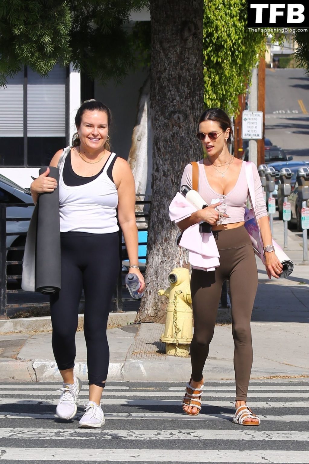 Alessandra Ambrosio Gives a Busty Display After a Yoga Class (49 Photos)