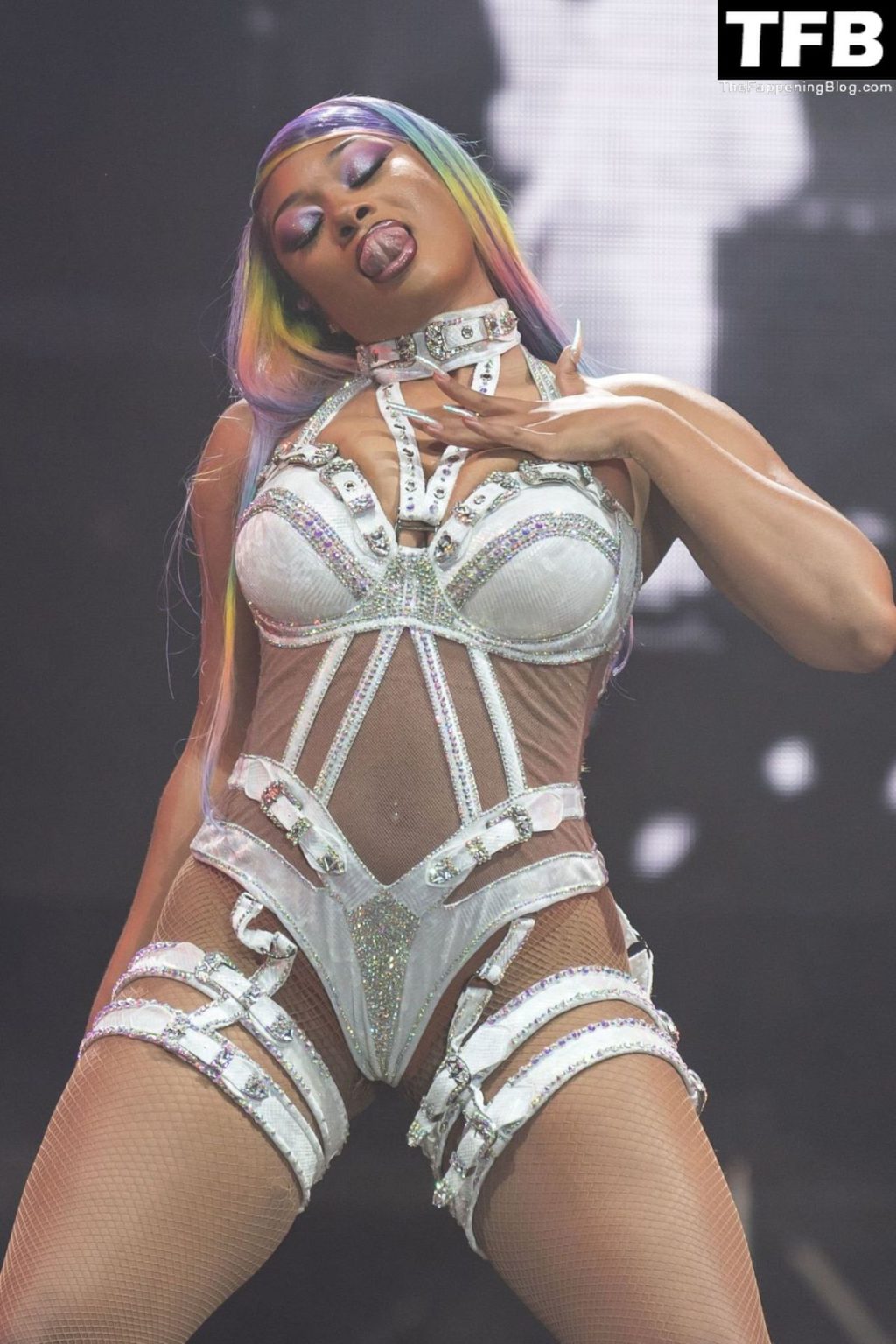 Megan Thee Stallion Shows Off Her Curves at the Okeechobee Music &amp; Arts Festival (13 Photos)