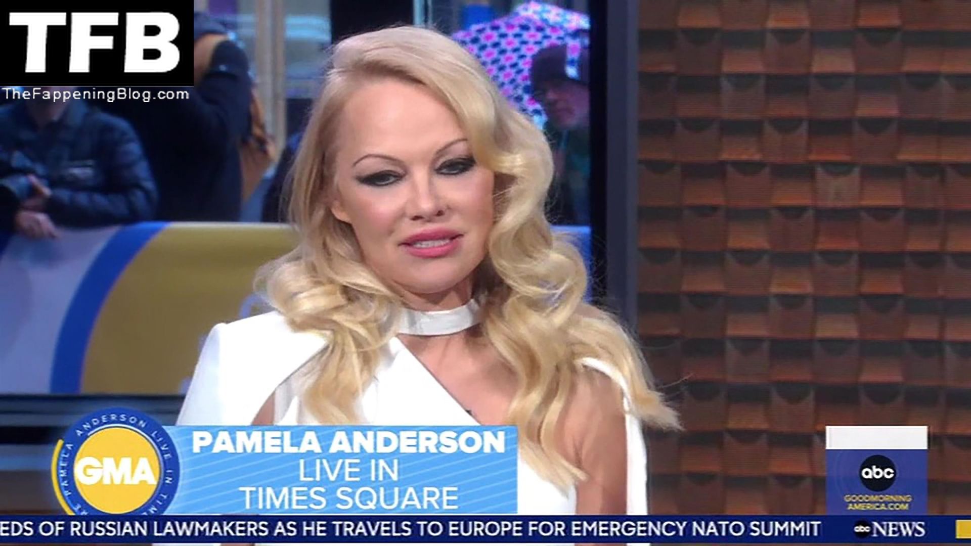 Pamela-Anderson-Hot-The-Fappening-Blog-16.jpg