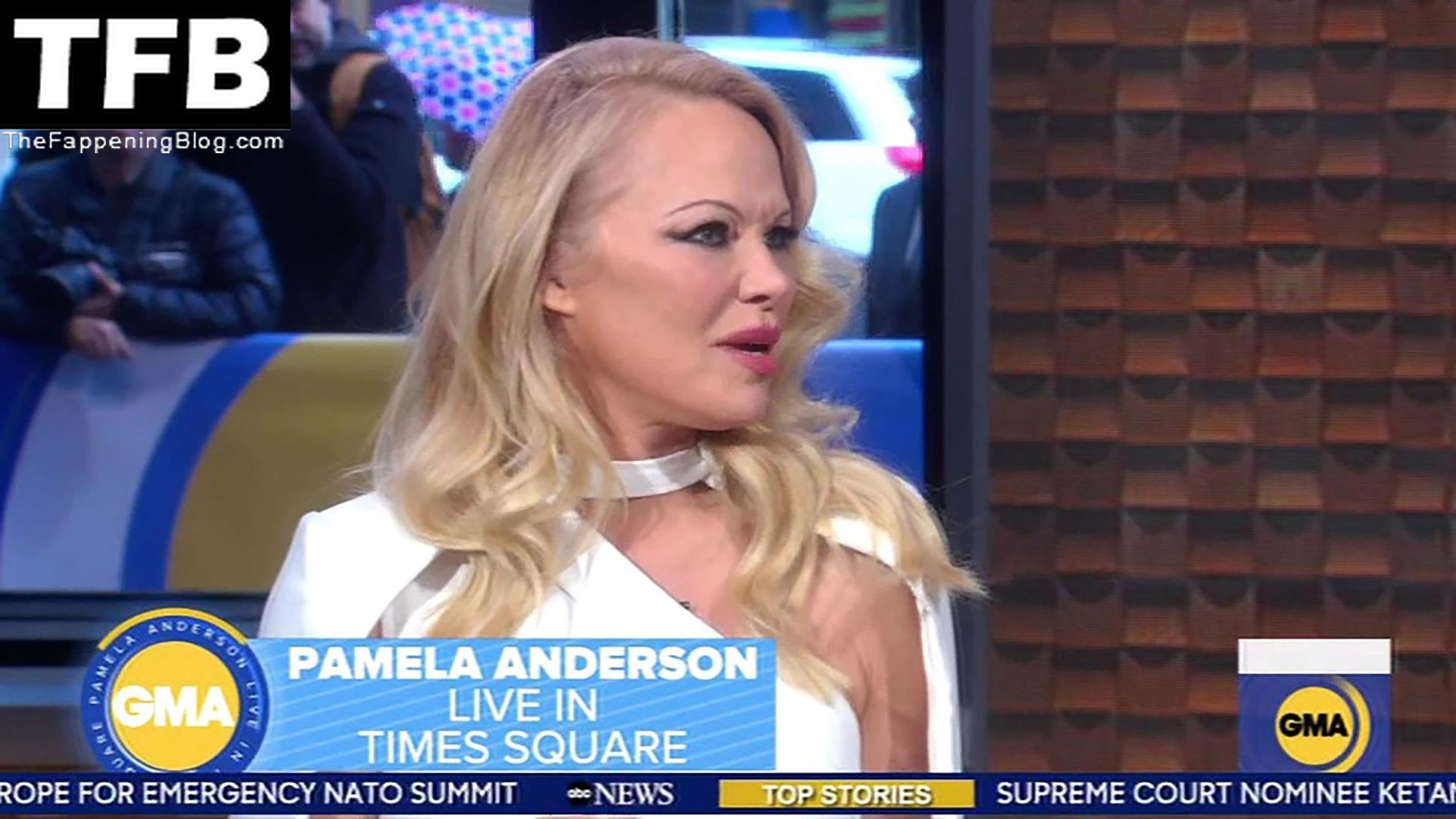 Pamela-Anderson-Hot-The-Fappening-Blog-17.jpg