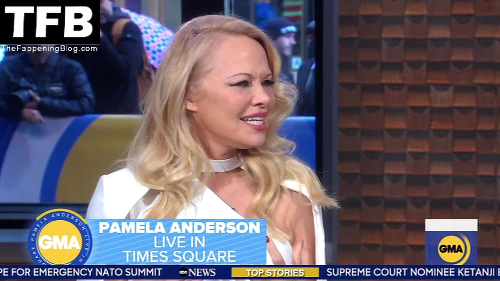 Pamela-Anderson-Hot-The-Fappening-Blog-18.jpg