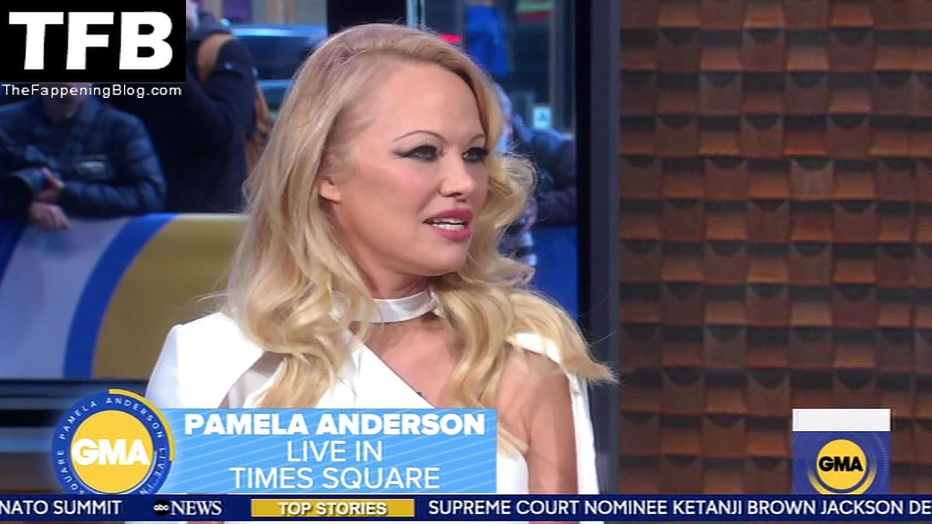 Pamela-Anderson-Hot-The-Fappening-Blog-19.jpg