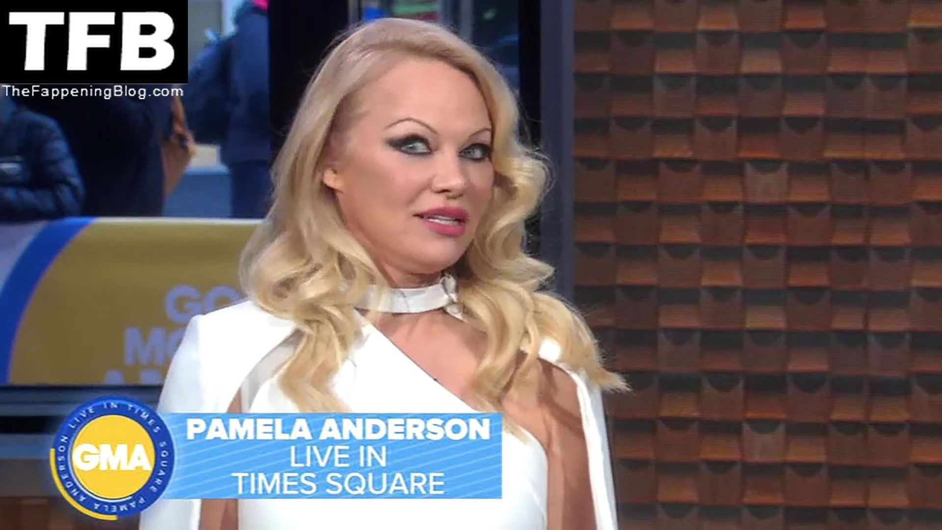 Pamela-Anderson-Hot-The-Fappening-Blog-21.jpg