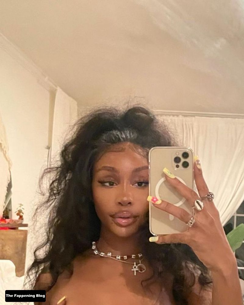 Solana Imani Rowe / sza Nude Leaks Photo 42 | #TheFappening