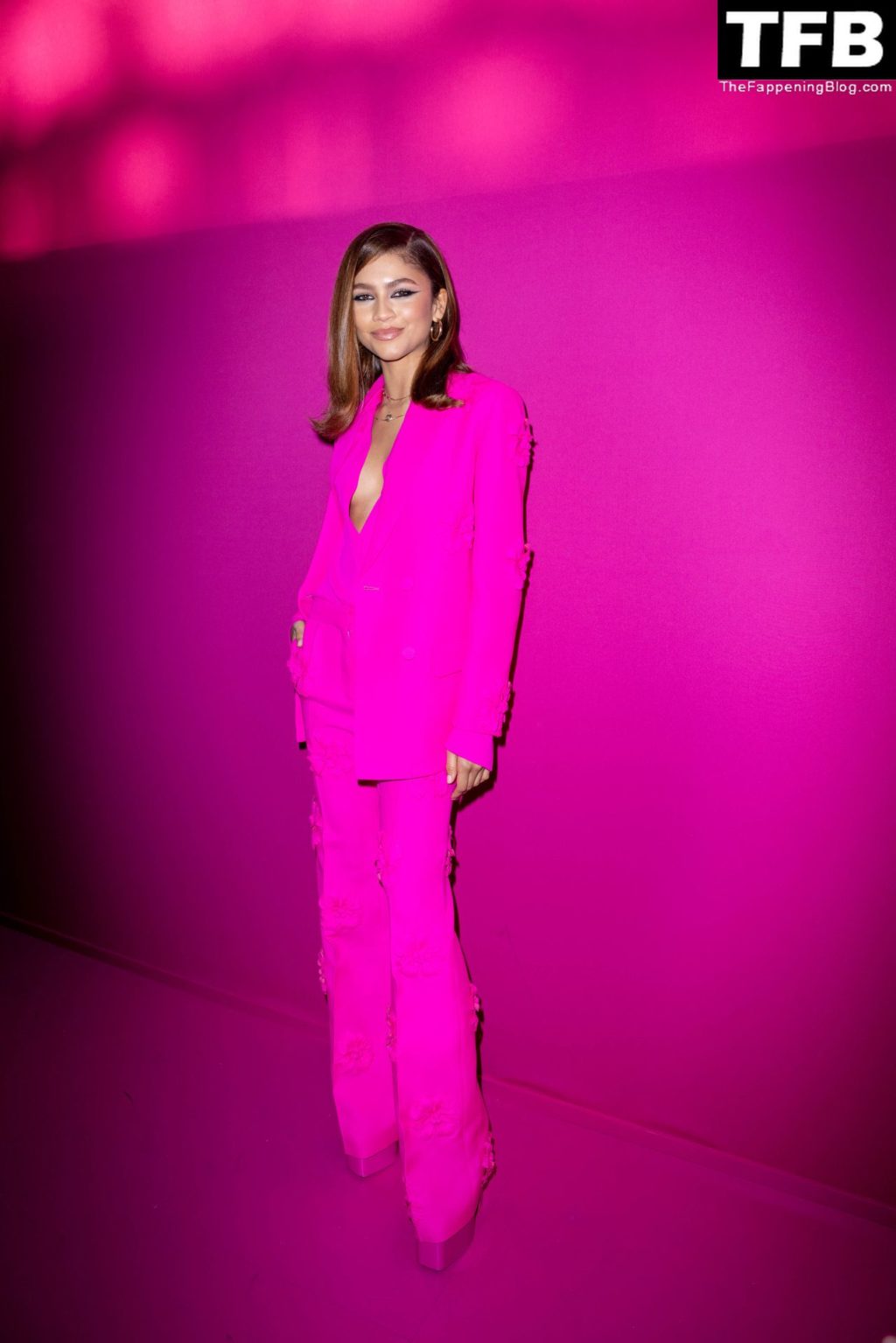 Braless Zendaya Attends the Valentino Womenswear Show in Paris (46 Photos)