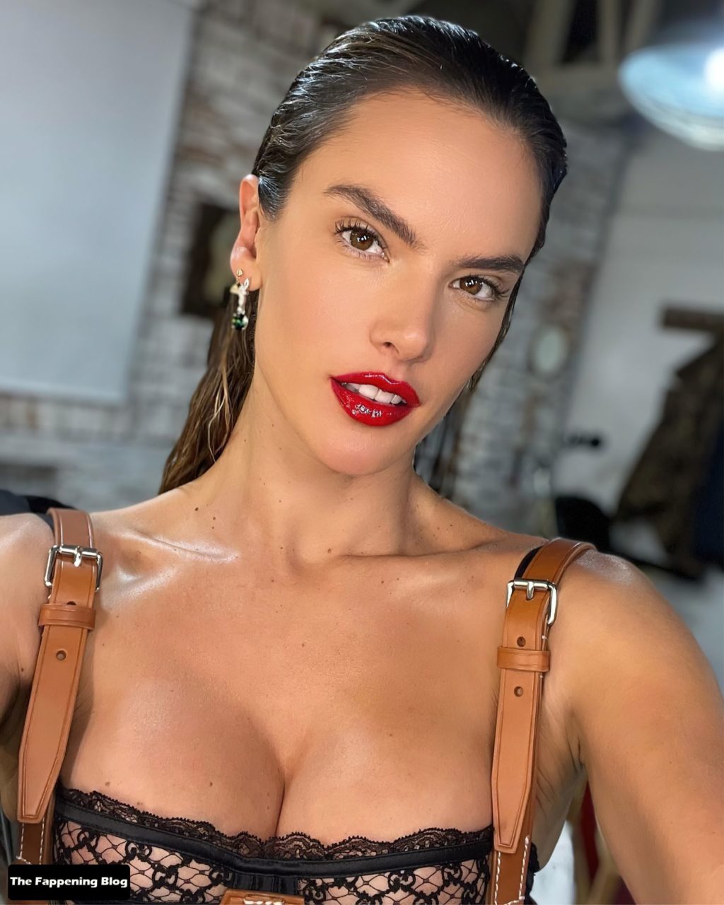 Alessandra Ambrosio Nude &amp; Sexy (36 Photos)