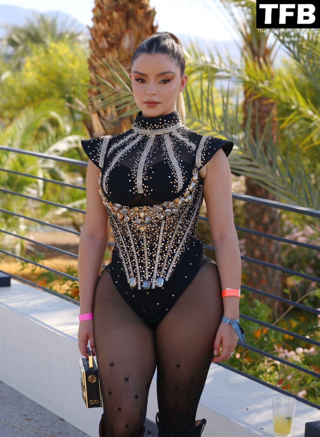 Demi Rose is Cheeky at a Coachella Party in Palm Springs (46 Photos)