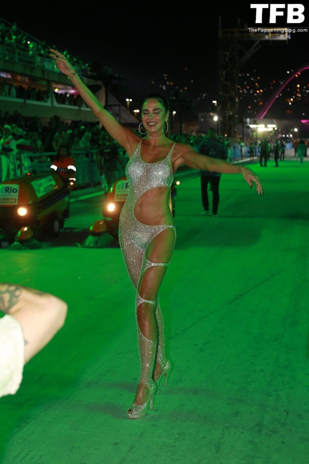 Luciana Gimenez Celebrates Sapucai in Rio de Janeiro (31 Photos)