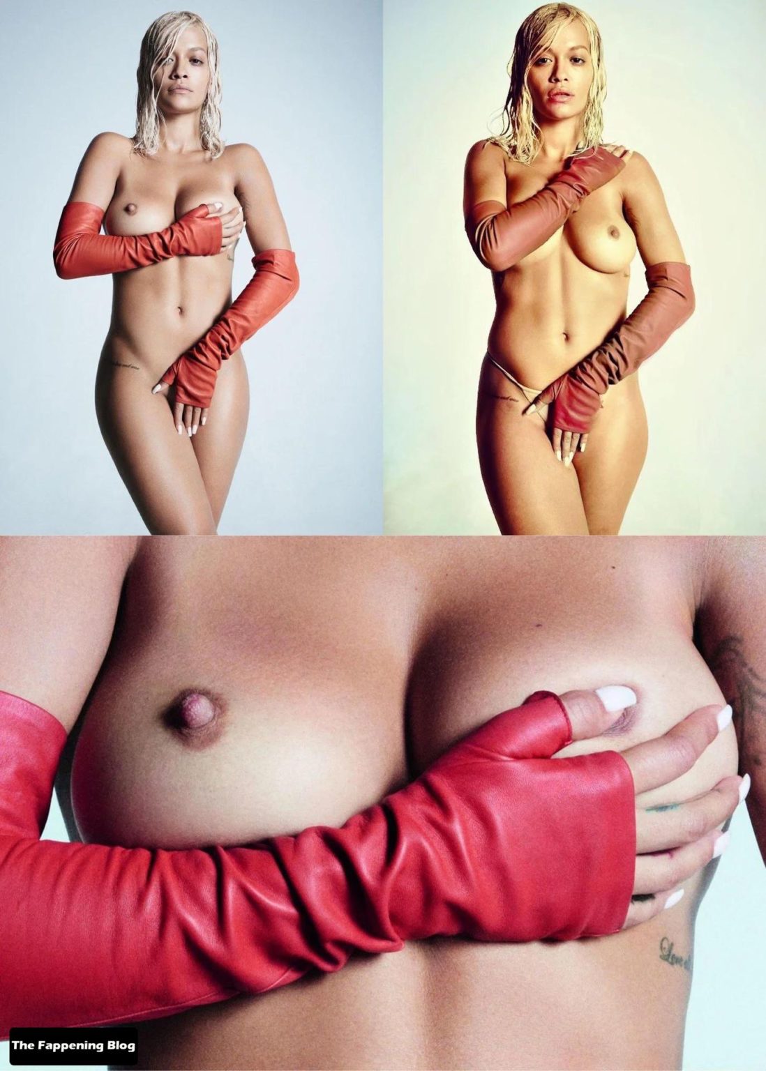 Rita Ora Nude 1 Collage Photo Thefappening