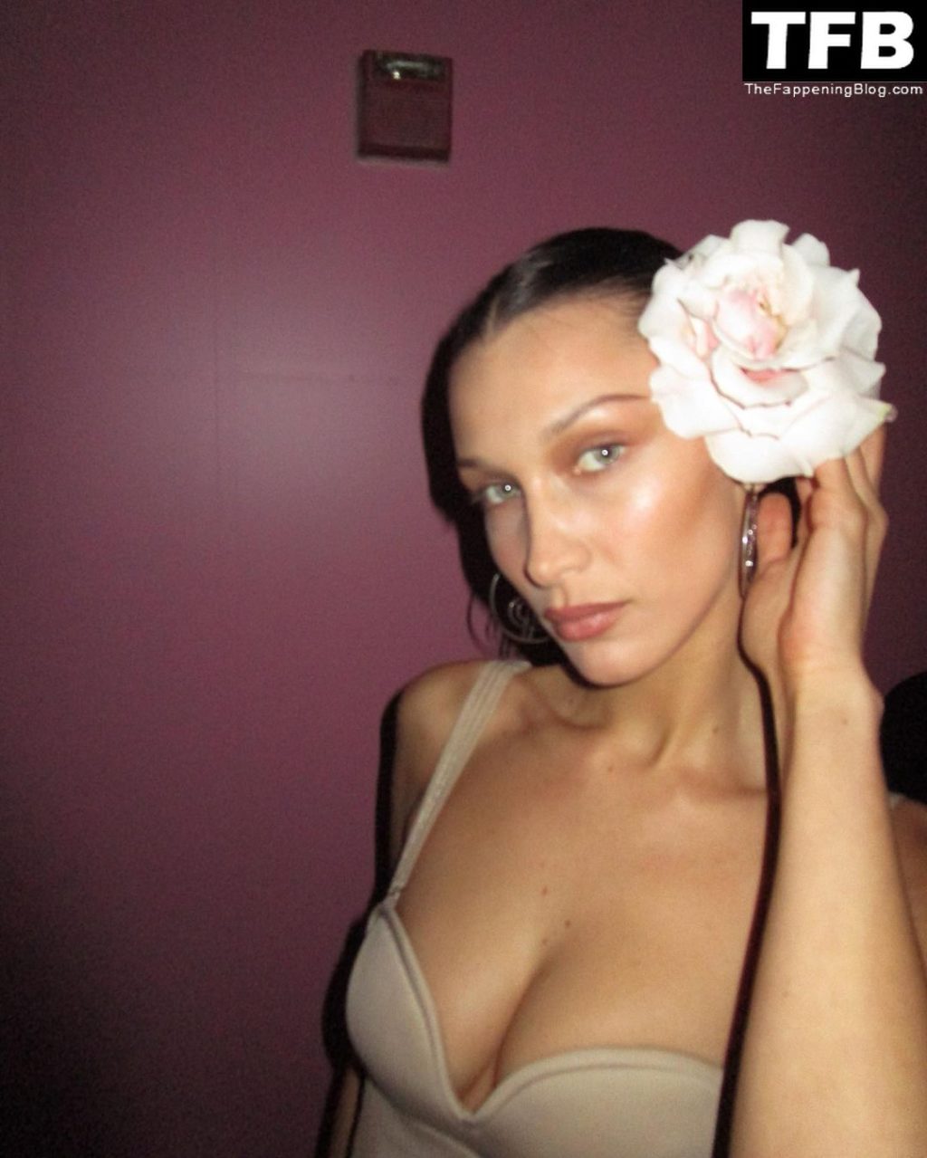 Bella Hadid Sexy (29 Photos)