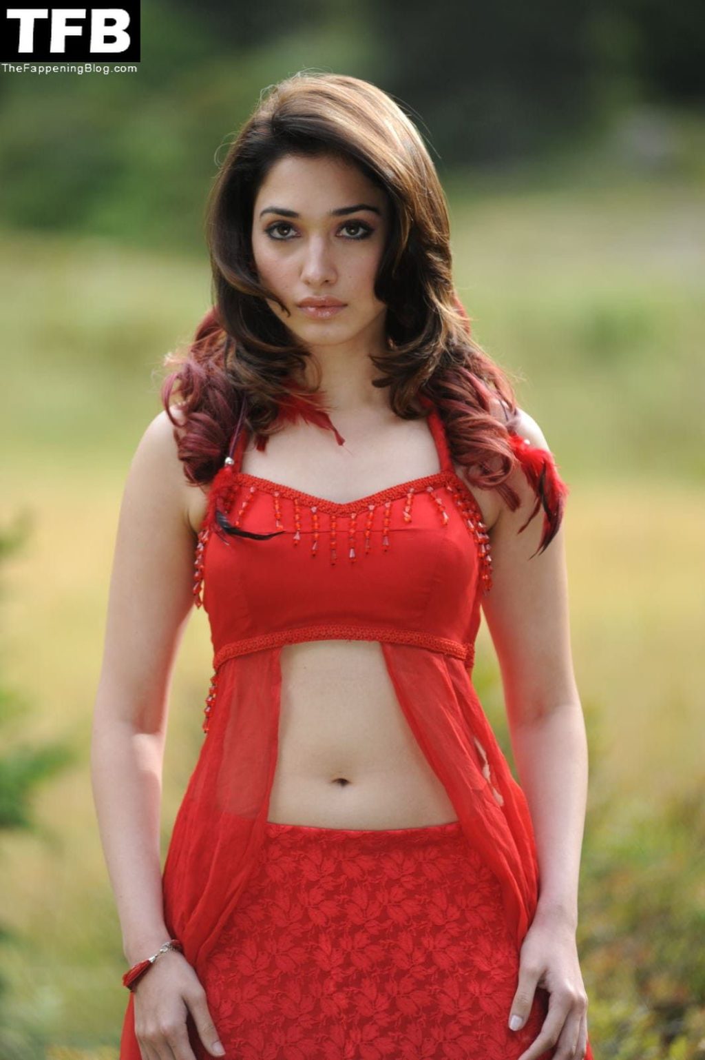 Tamanna Bhatia Sexy Collection (14 Photos)