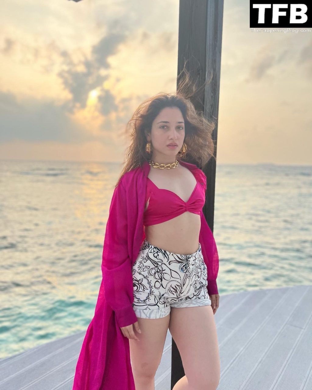 Tamanna Bhatia Sexy Collection (14 Photos)