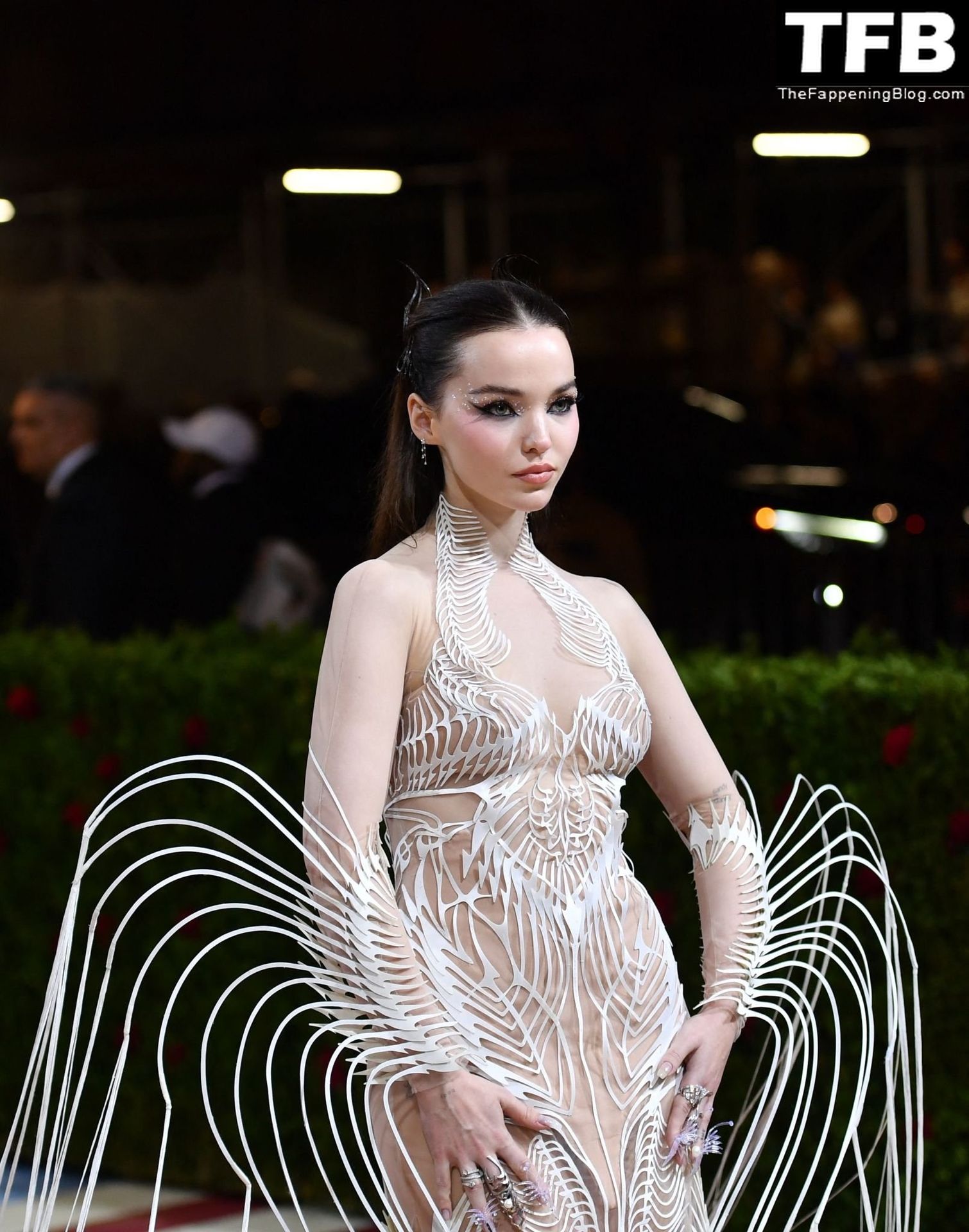Dove-Cameron-See-Through-The-Fappening-Blog-16.jpg
