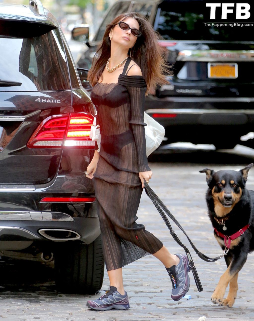 Emily Ratajkowski Bares It All in a See-Through Dress While Out Walking Her Dog in New York (33 Photos)