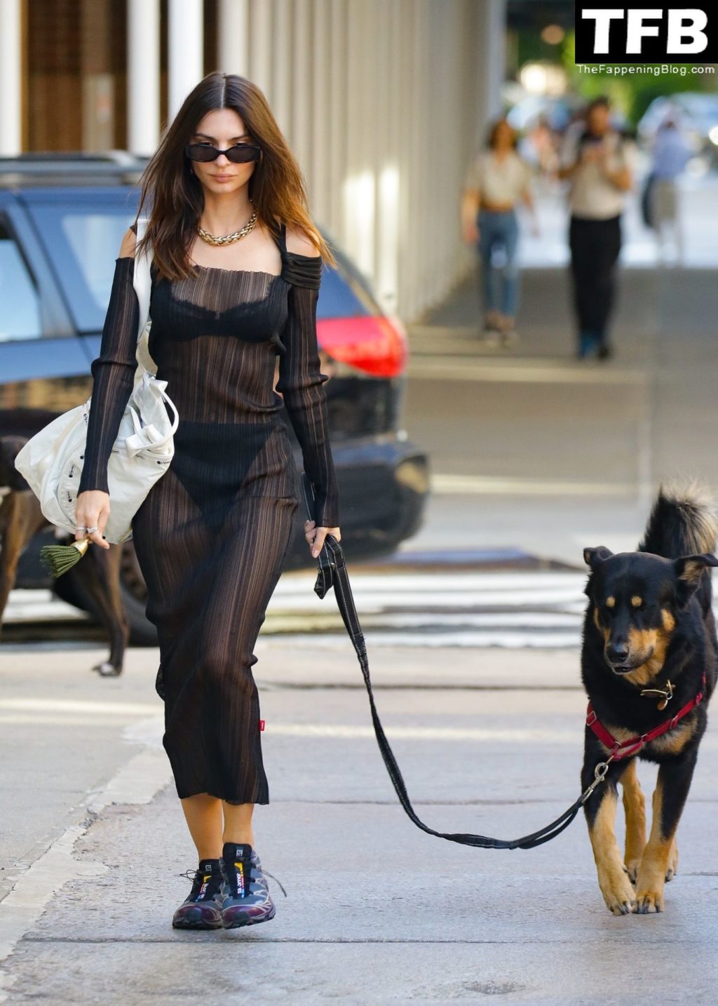 Emily Ratajkowski Bares It All in a See-Through Dress While Out Walking Her Dog in New York (33 Photos)