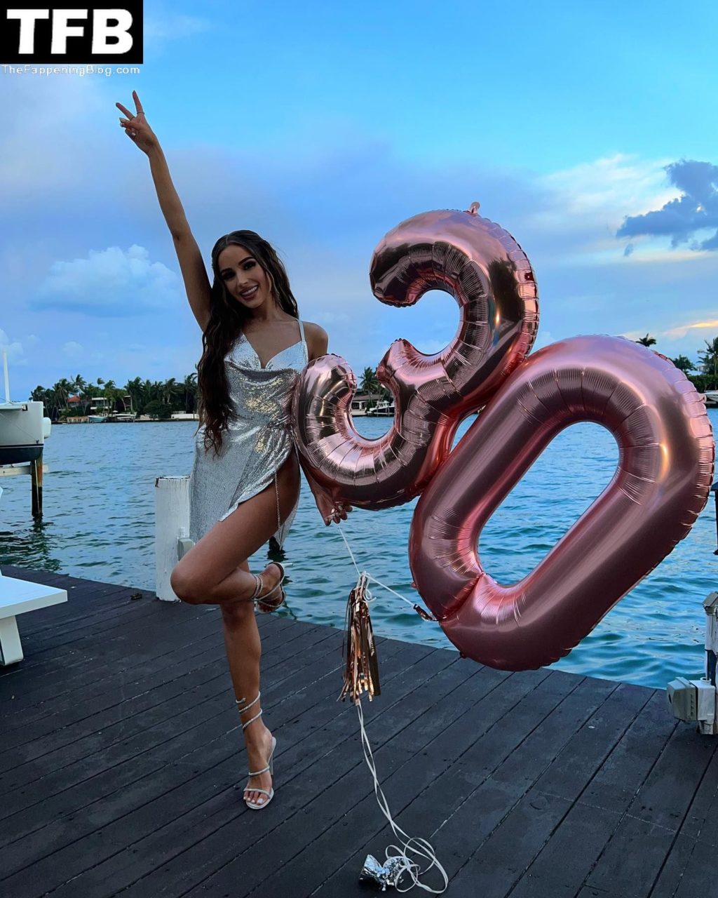 Olivia Culpo Celebrates Her Birthday in Miami (46 Photos)