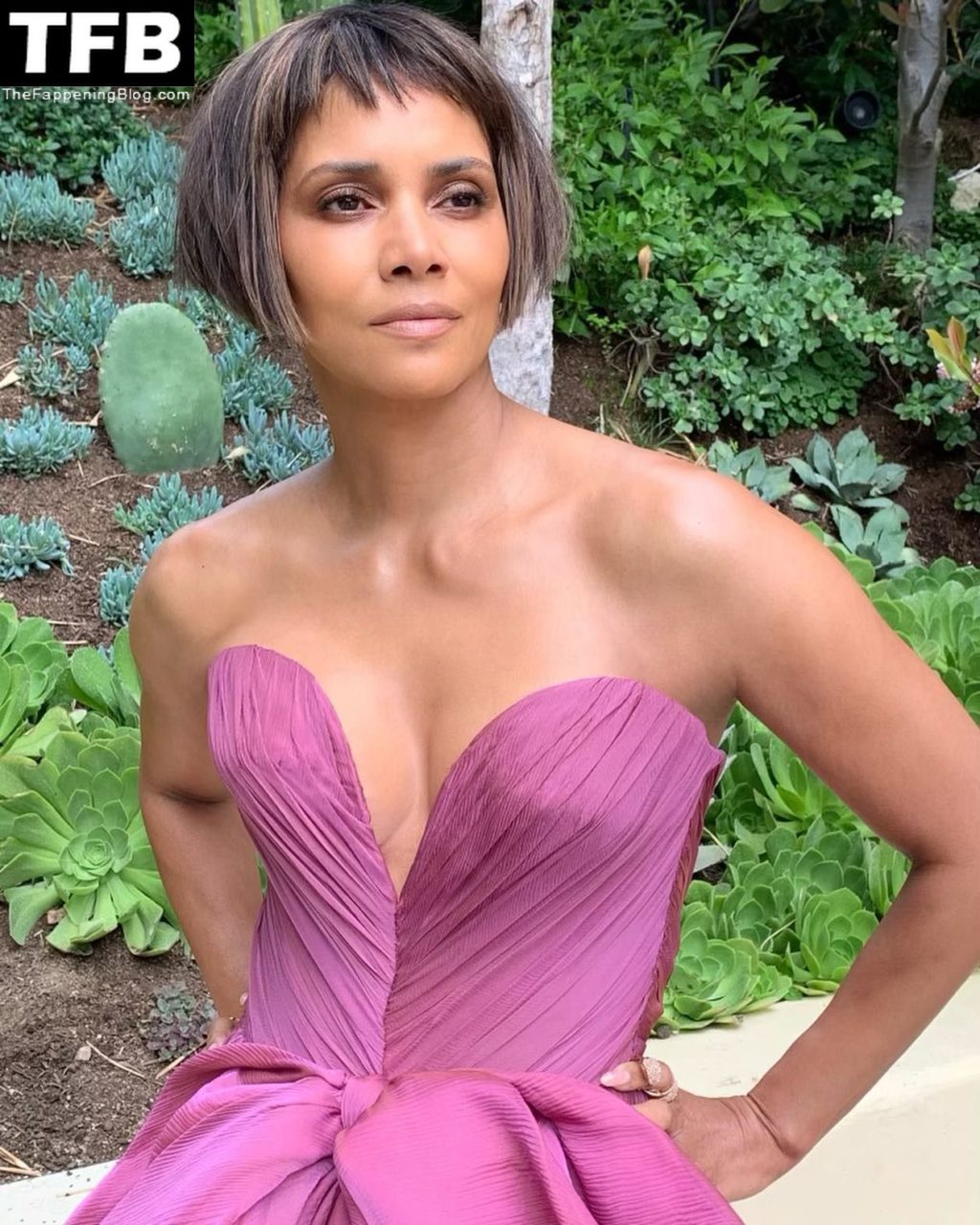 Halle Berry Sexy 9 Photos Thefappening