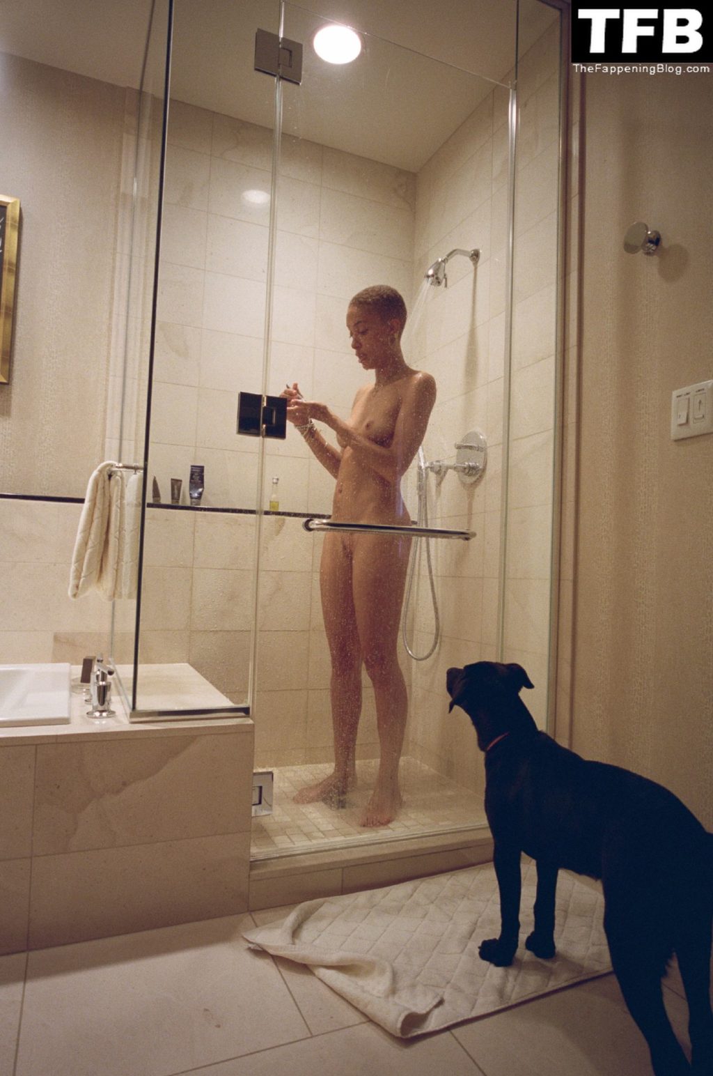 Adwoa Aboah Nude &amp; Sexy Leaked The Fappening (34 Photos)