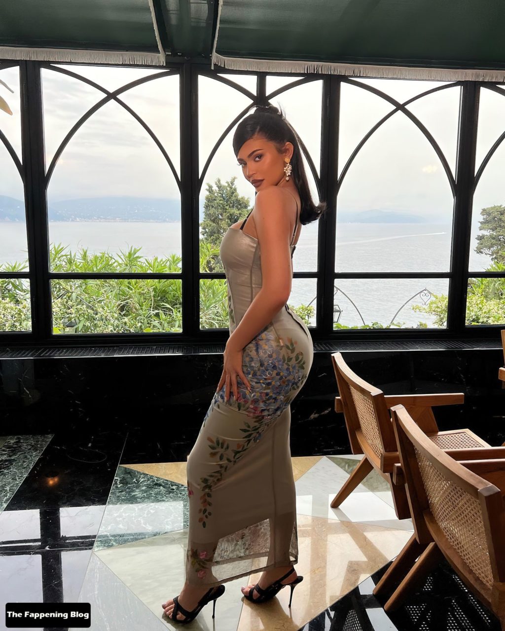 Kylie Jenner Sexy (14 Photos)