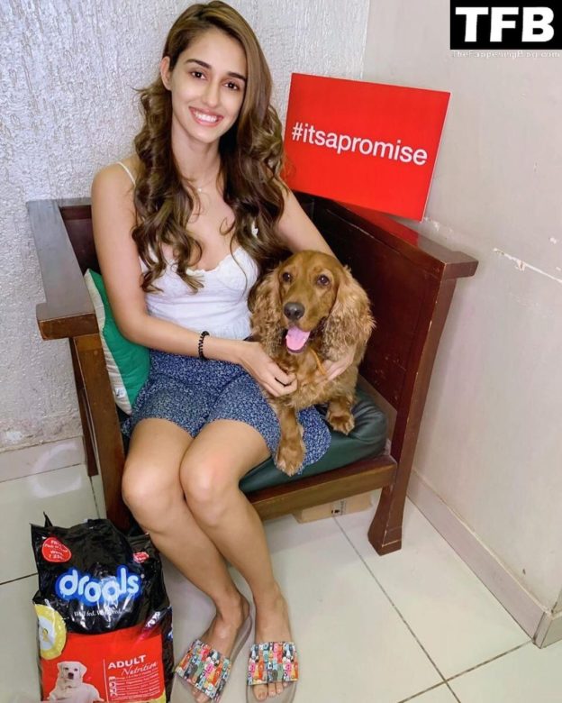 Disha Patani Topless And Sexy Collection 160 Photos Thefappening