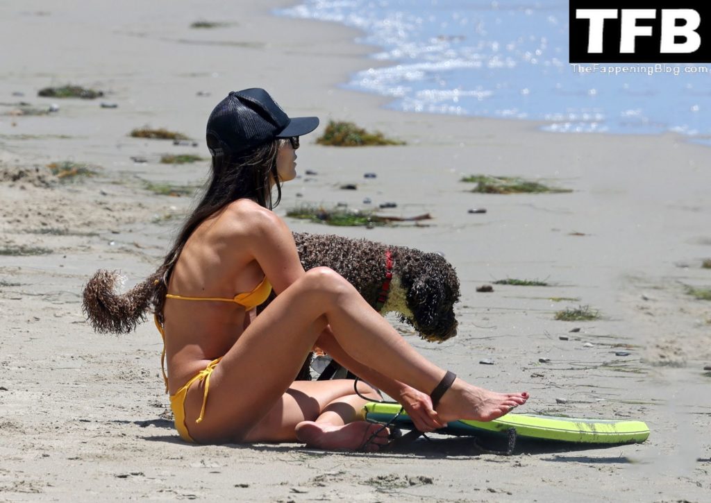 Jordana Brewster Shows Off Her Bikini Body on Santa Monica Beach (87 Photos)