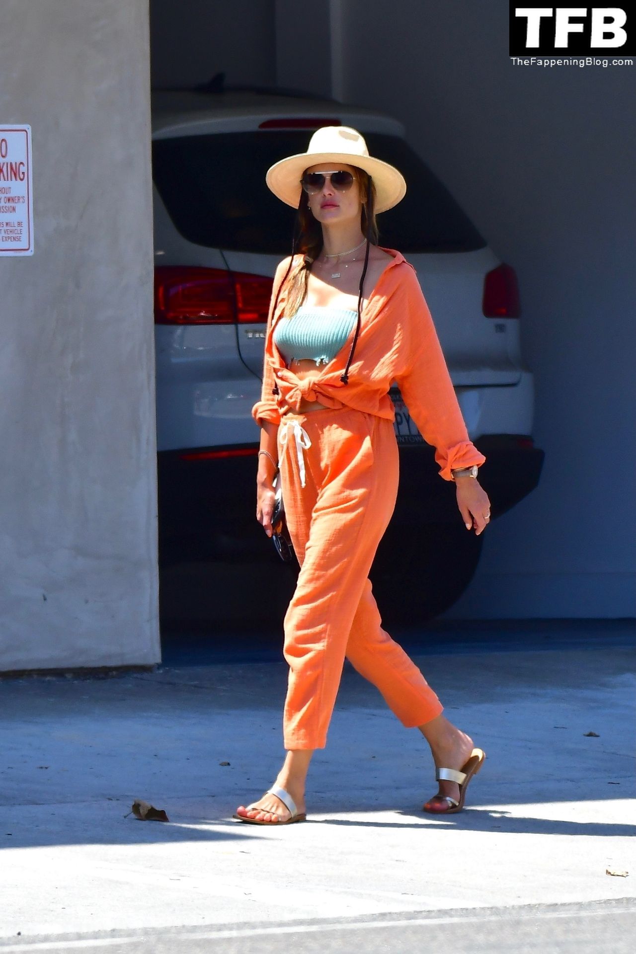 Alessandra Ambrosio Takes Her Daughter Out for Lunch in Malibu (57 Photos)