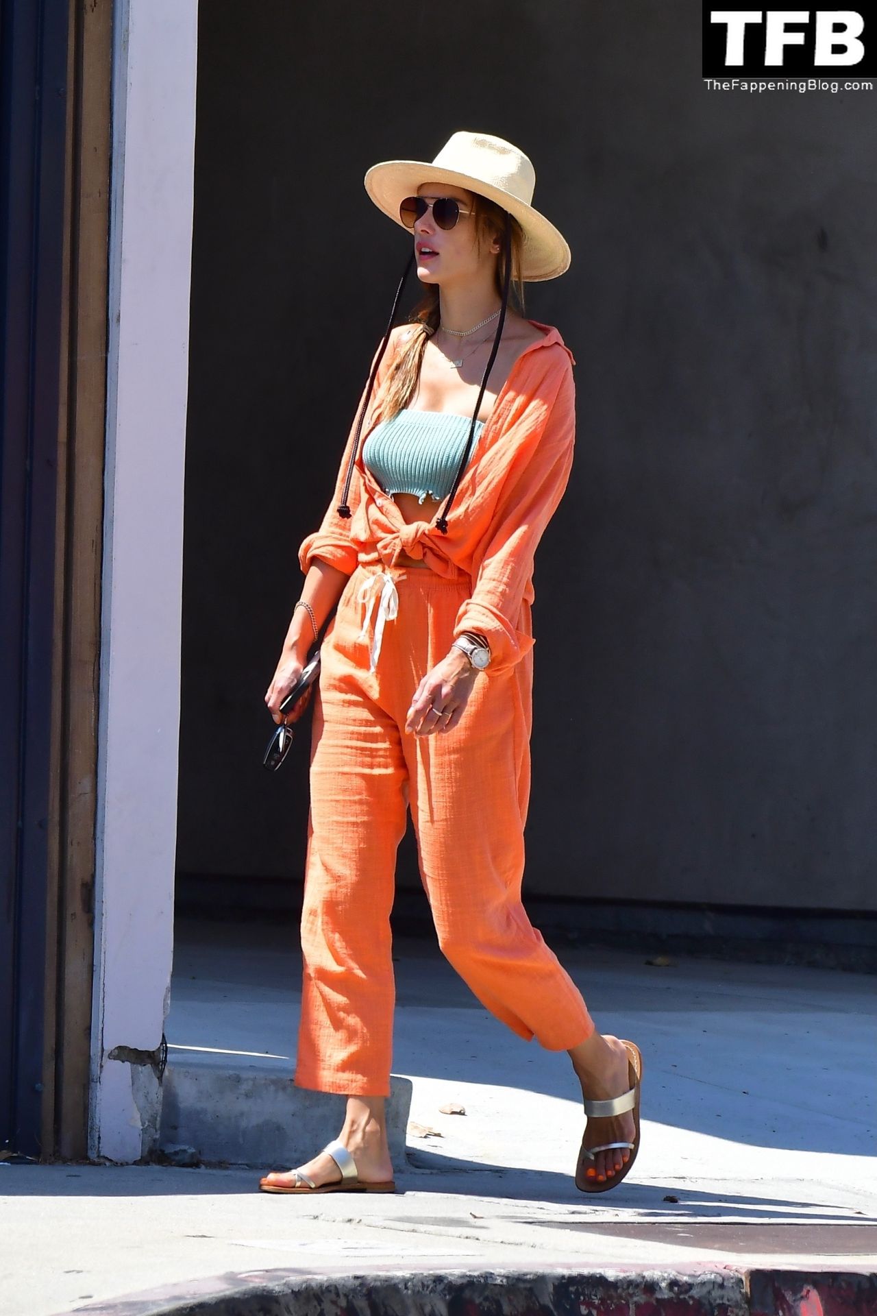 Alessandra Ambrosio Takes Her Daughter Out for Lunch in Malibu (57 Photos)