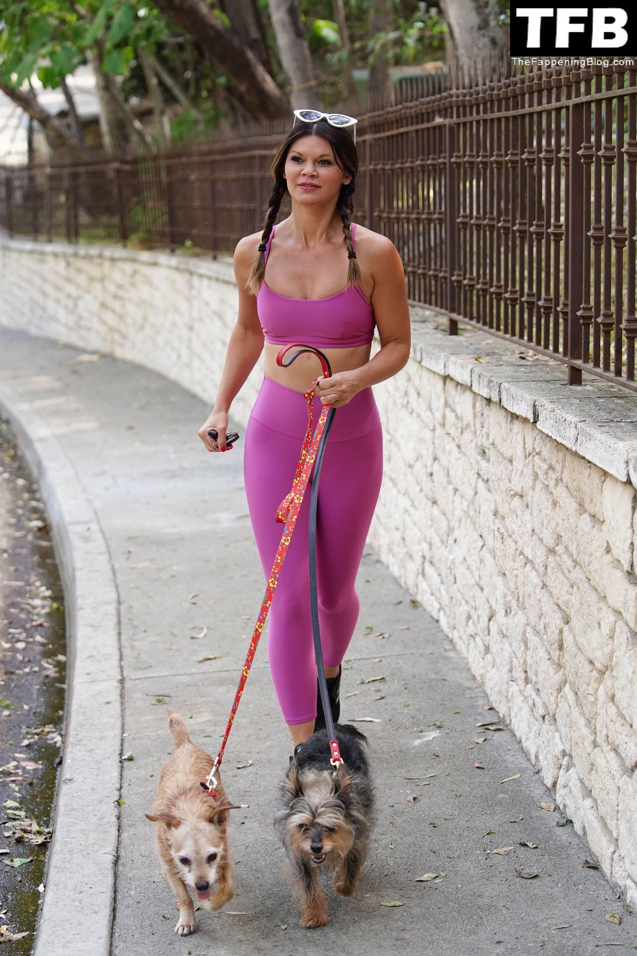 Danielle Vasinova Flaunts Her Fit Figure While Walking Her Dogs in LA (13 Photos)