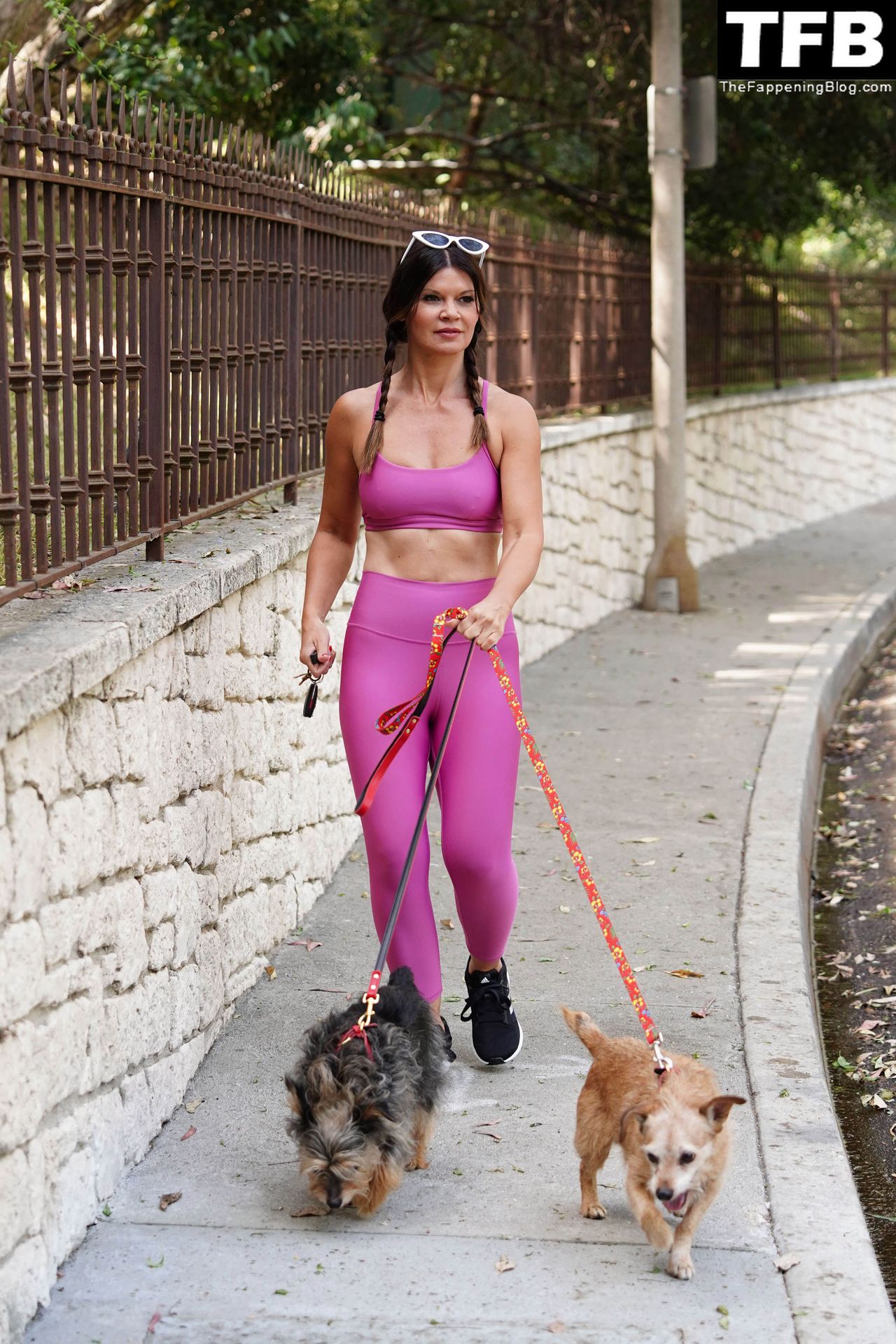 Danielle Vasinova Flaunts Her Fit Figure While Walking Her Dogs in LA (13 Photos)