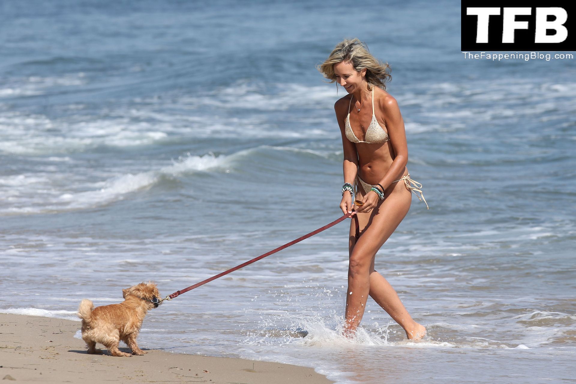 Lady Victoria Hervey Takes Her Norfolk Terrier D’Artagnan For Beach Stroll in Malibu (25 Photos)