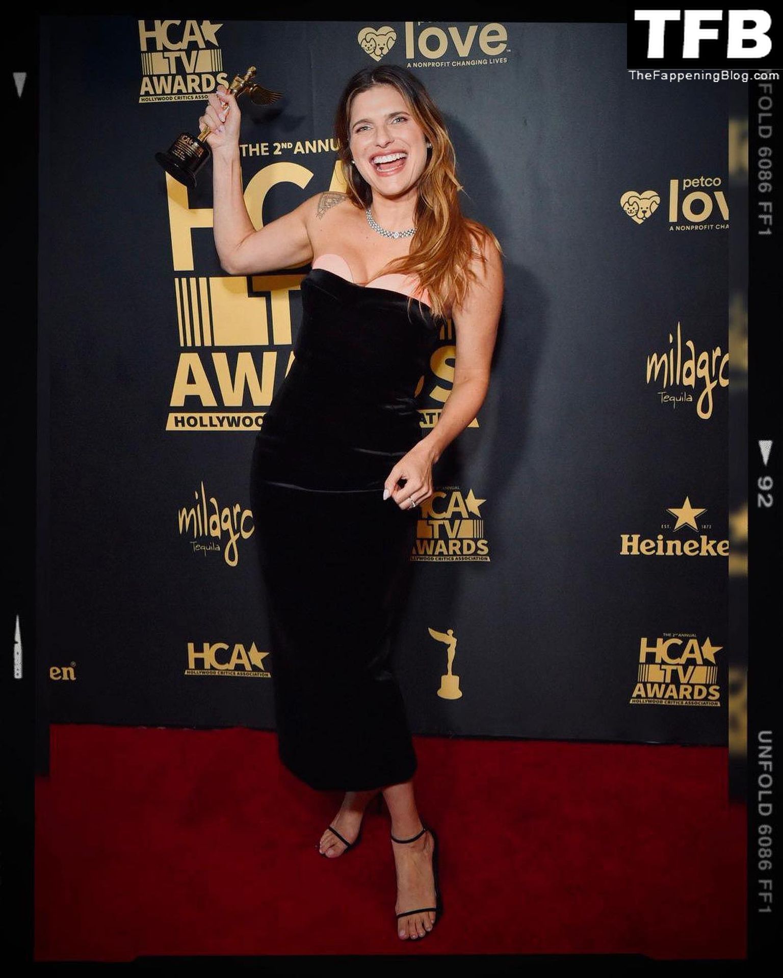 Lake Bell Poses at the 2nd Annual HCA TV Awards in Beverly Hills (10 Photos)