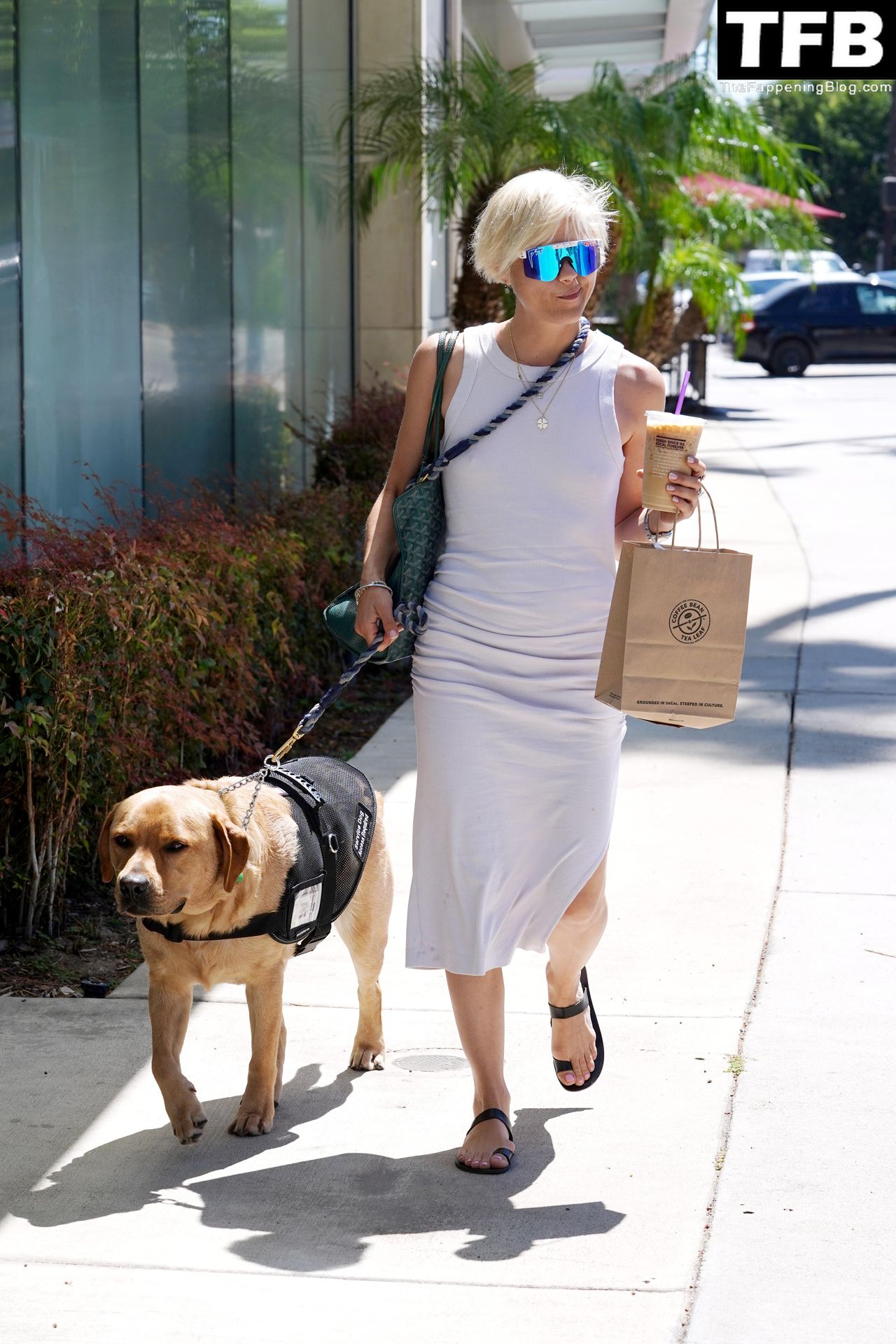 Selma Blair Looks Stylish While on an Iced Coffee Run in LA (38 Photos)