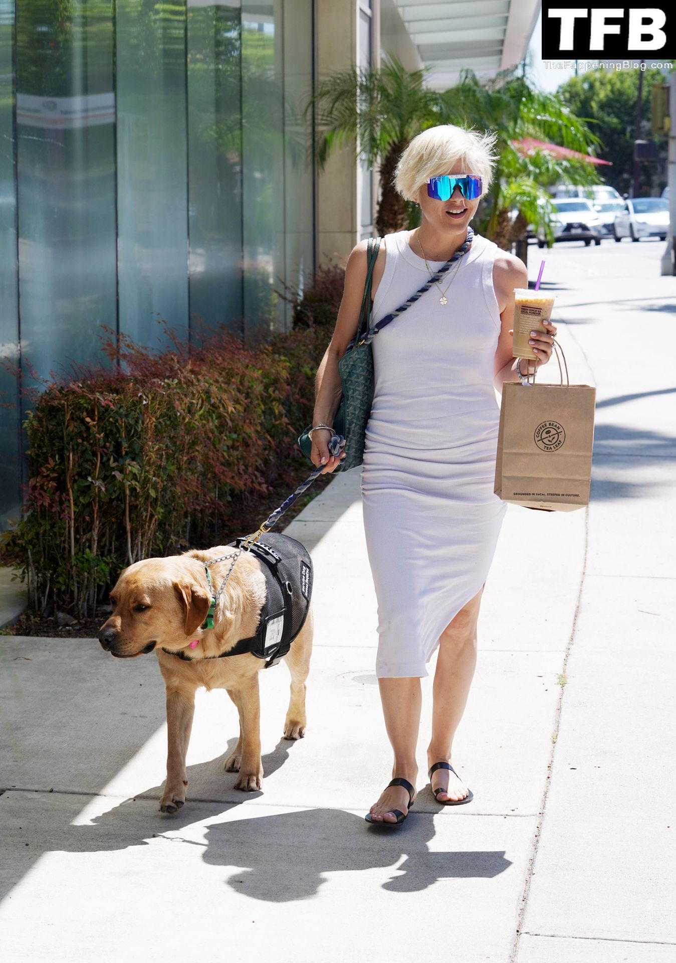 Selma Blair Looks Stylish While on an Iced Coffee Run in LA (38 Photos)