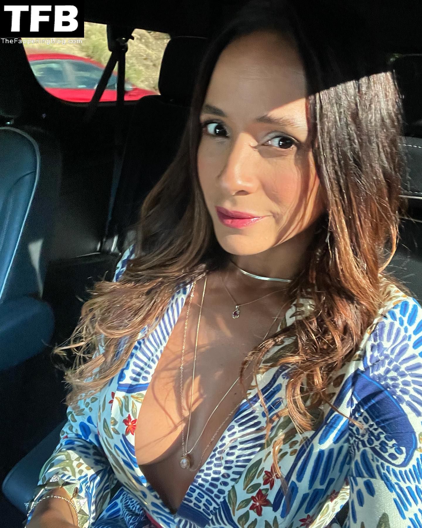 Dania Ramirez Sexy 1