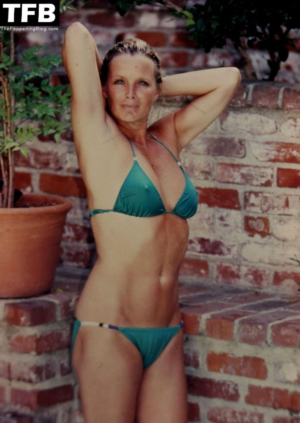 Linda Evans Nude &amp; Sexy (6 Photos)