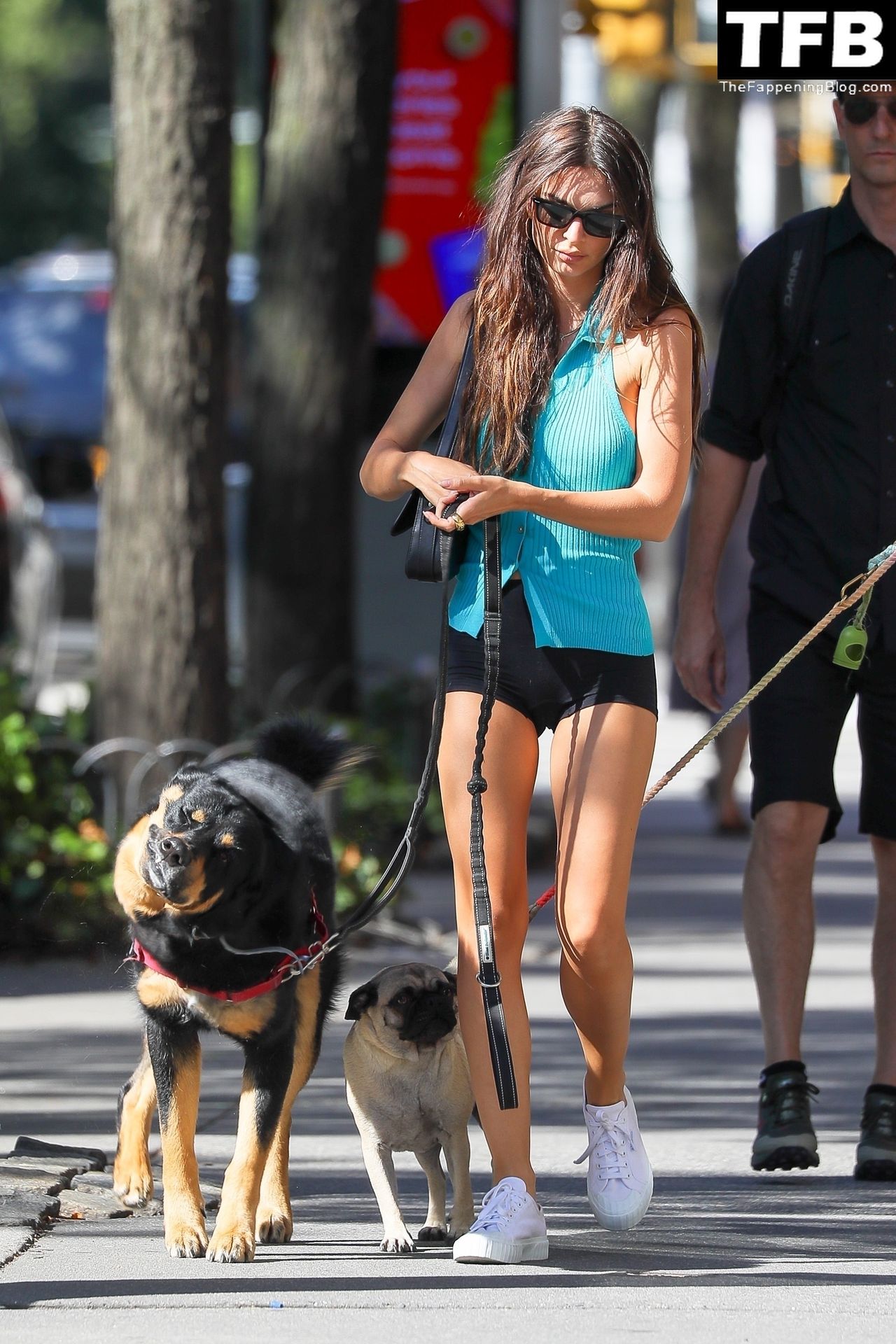 Leggy Emily Ratajkowski Takes Her Dog For a Stroll in New York City (42 Photos)