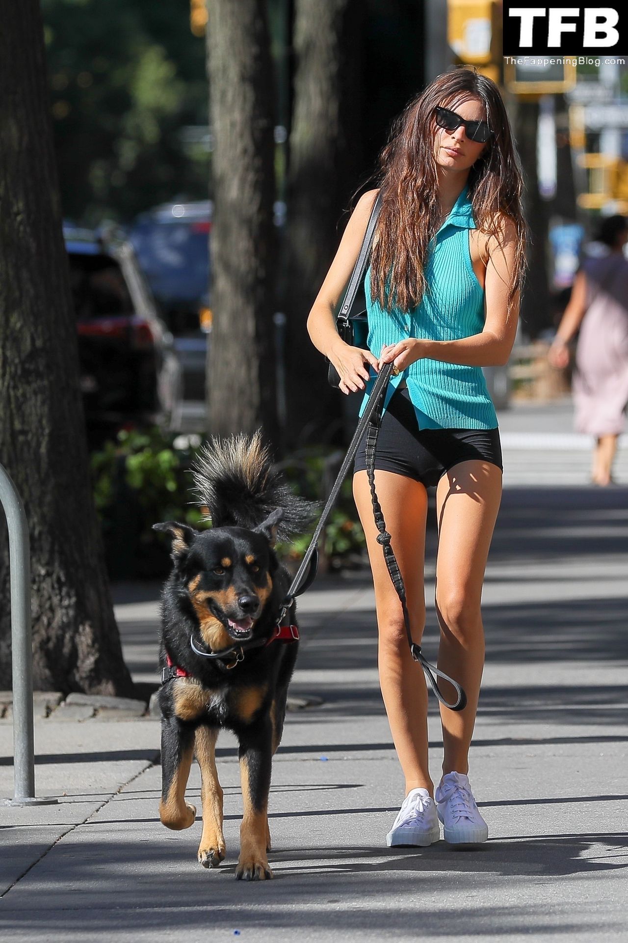 Leggy Emily Ratajkowski Takes Her Dog For a Stroll in New York City (42 Photos)