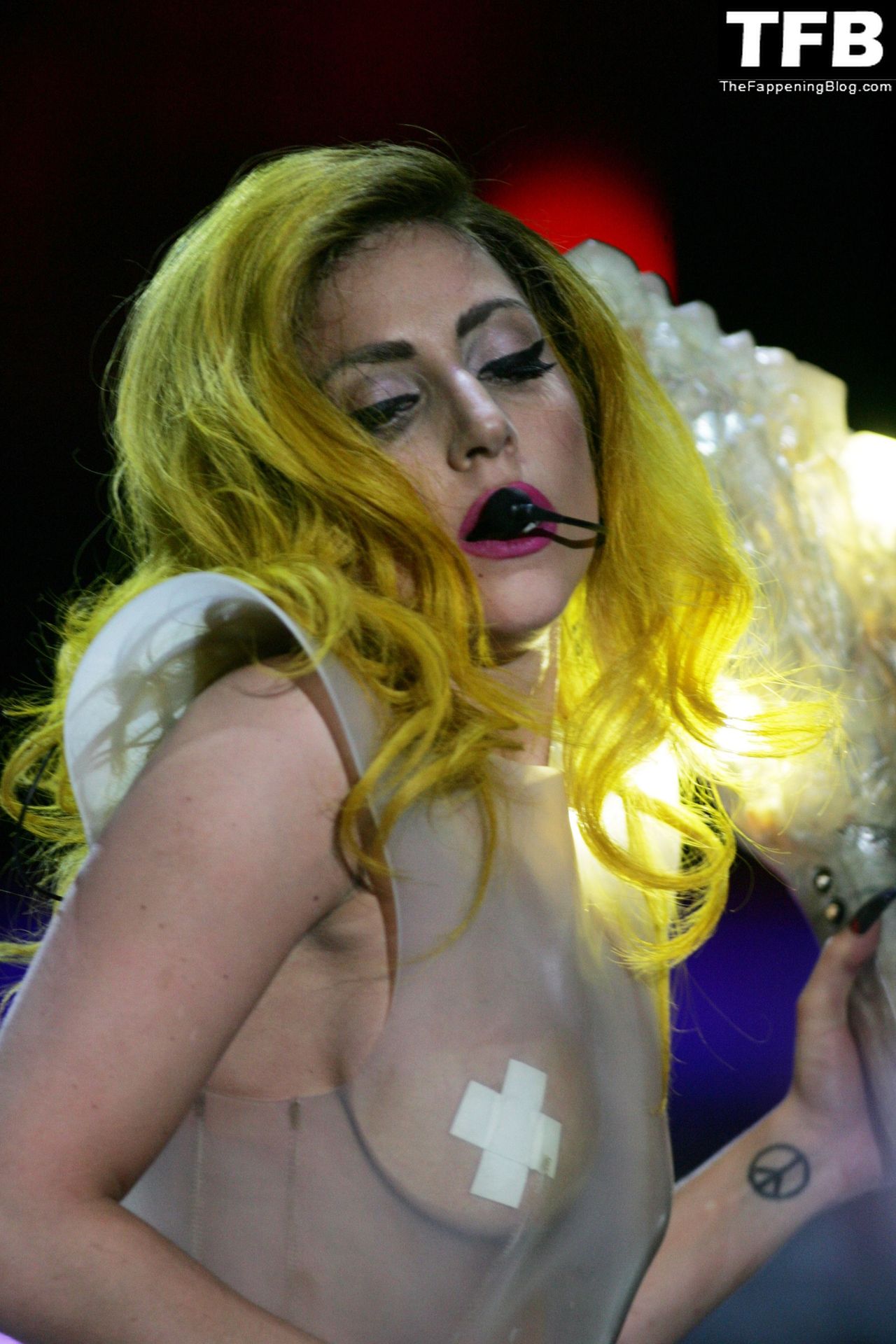 Lady Gaga Nude &amp; Sexy Collection – Part 2 (150 Photos)