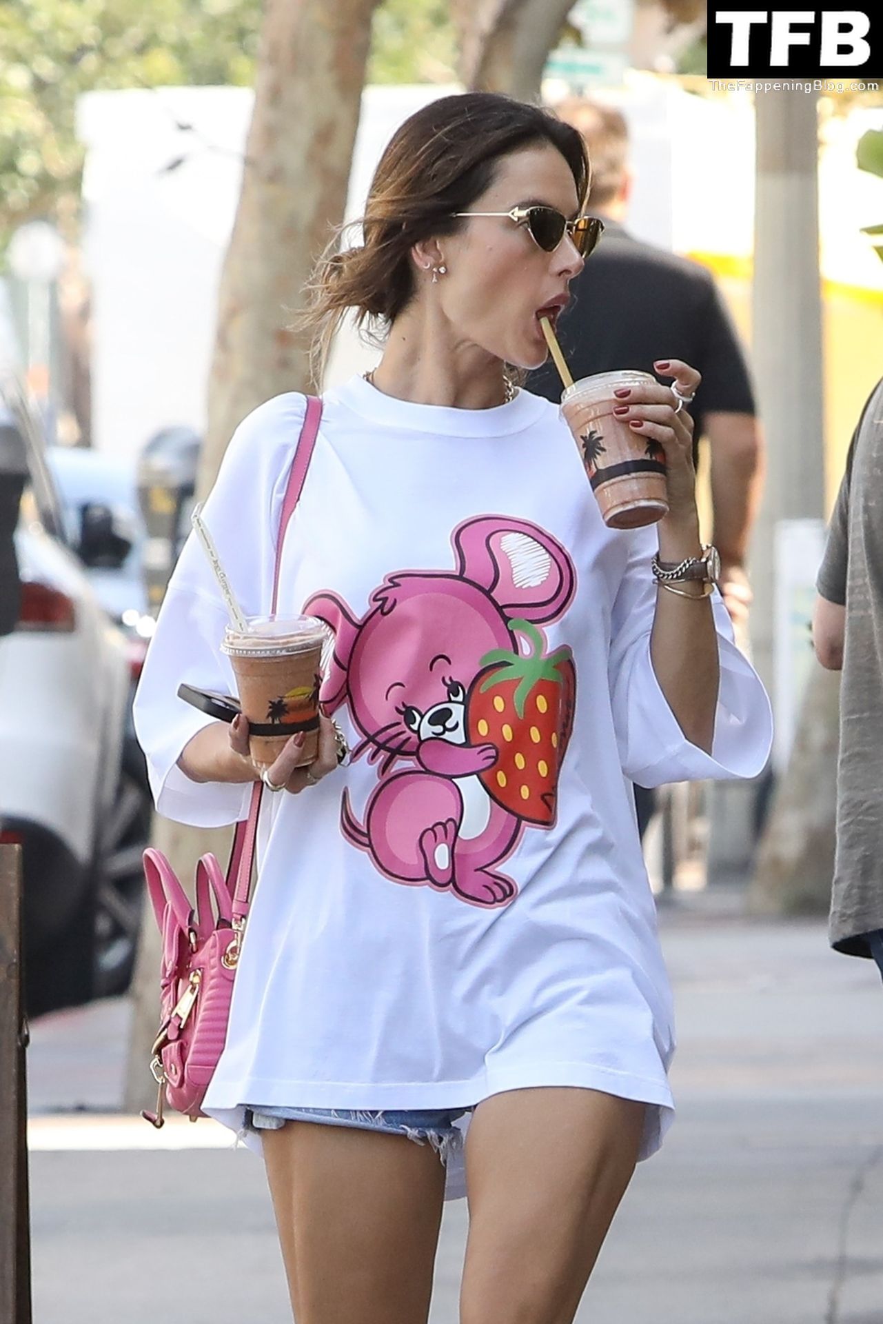 Alessandra Ambrosio Turns the Streets of Brentwood Into a Catwalk (99 Photos)