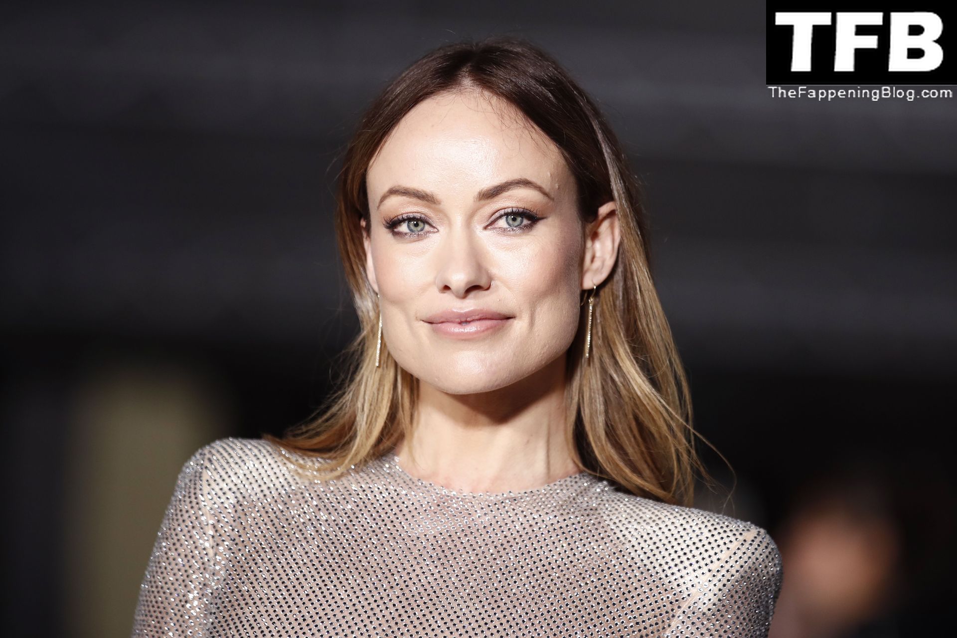 Olivia Wilde Looks Stunning in a See-Through Dress at the 2nd Annual Academy Museum Gala (89 Photos)