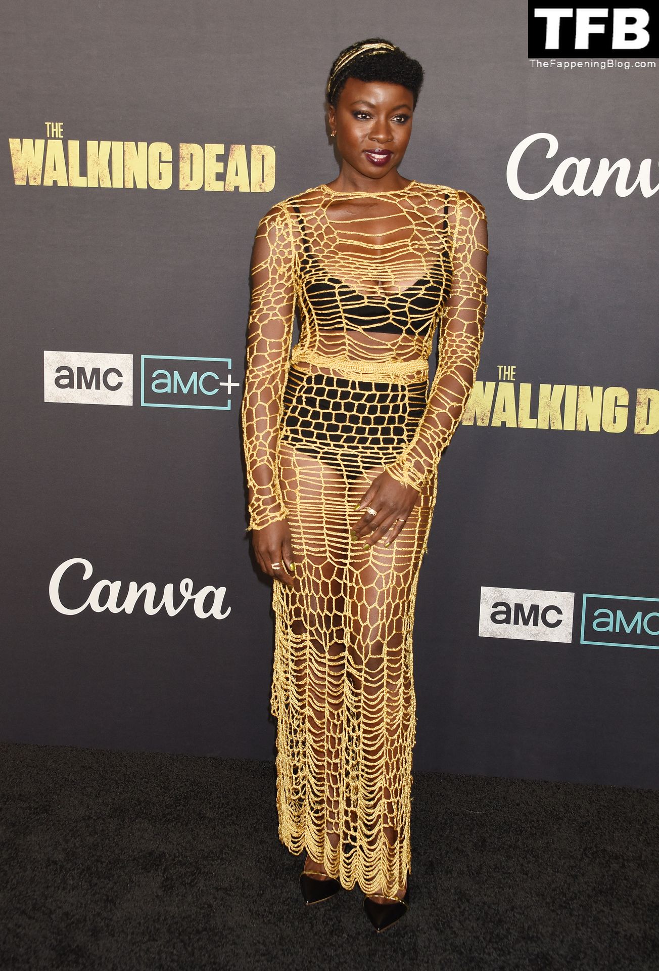 Danai Gurira Poses in a Mesh Dress The Walking Dead Live in LA (22 Photos)