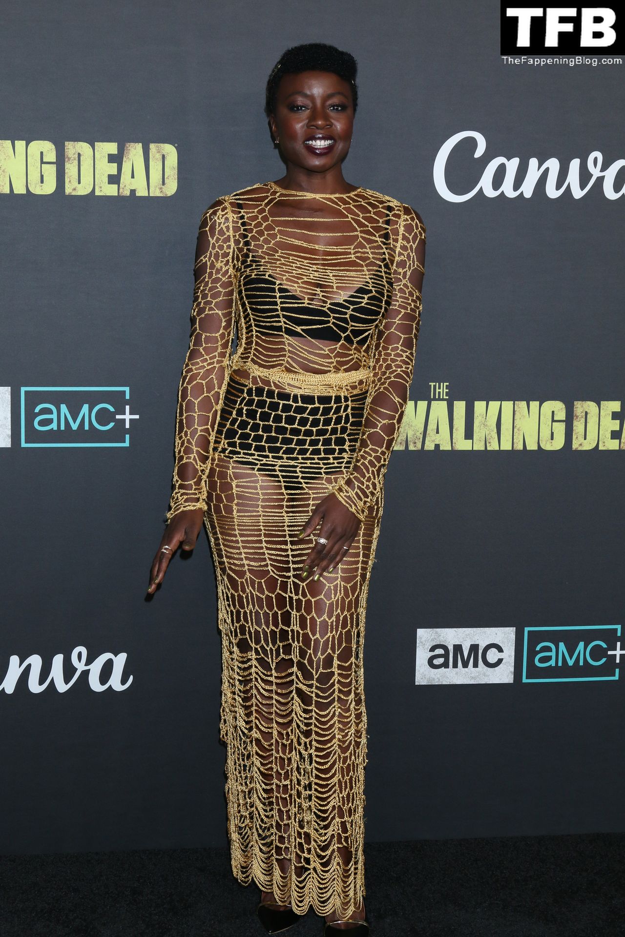 Danai Gurira Poses in a Mesh Dress The Walking Dead Live in LA (22 Photos)