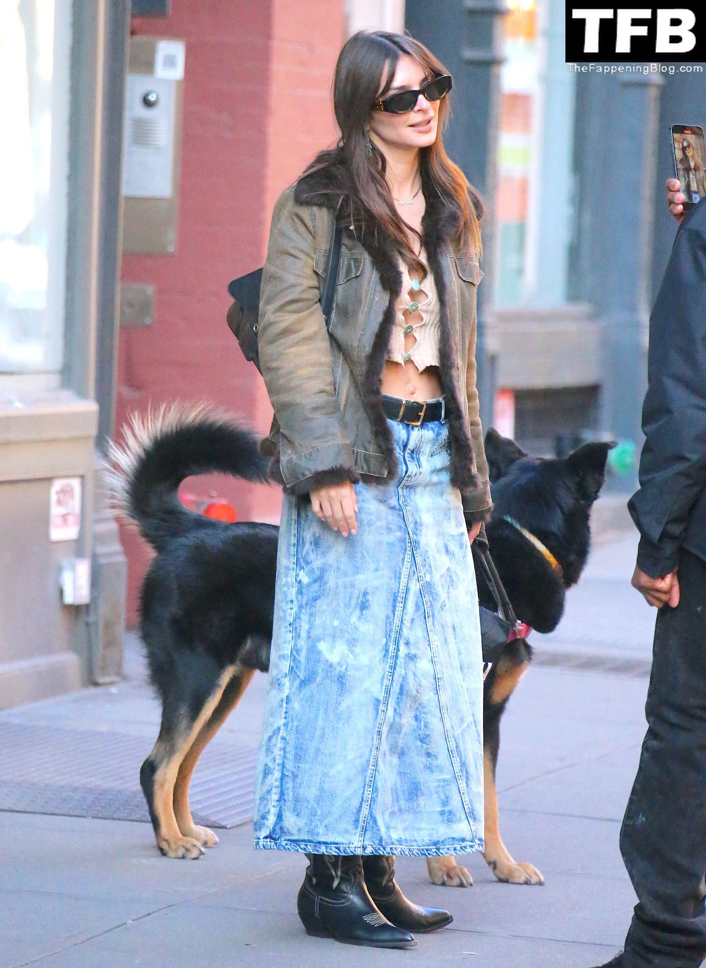 Emily Ratajkowski Wears a Crop Top With a Denim Skirt While Taking Her Dog For a Stroll in NYC (72 Photos)