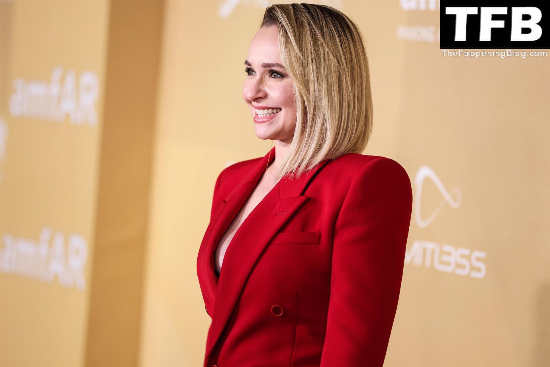 Hayden Panettiere Shows Off Sexy Cleavage &amp; Legs at the 2022 amfAR Gala Los Angeles (76 Photos)