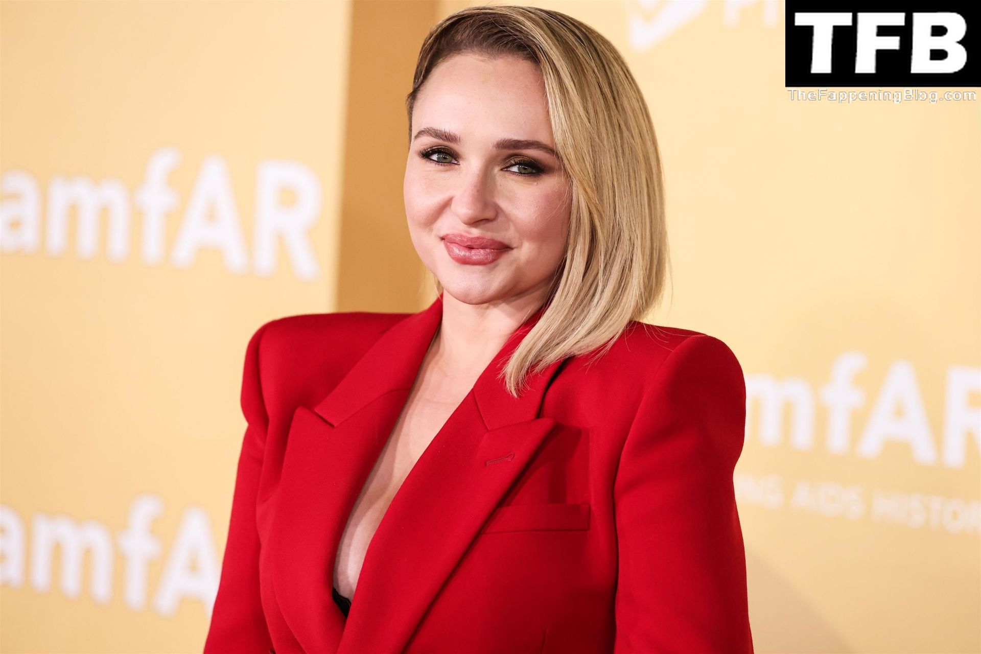 Hayden Panettiere Shows Off Sexy Cleavage &amp; Legs at the 2022 amfAR Gala Los Angeles (76 Photos)